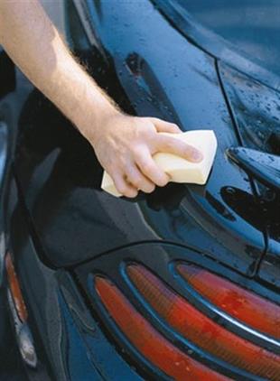 Shur-Dry PVA kurulama süngeri