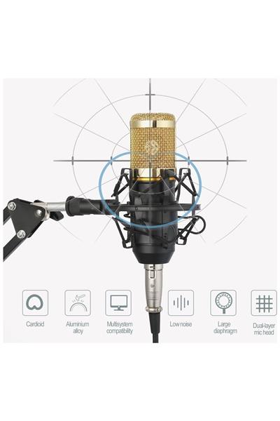 Profesyonel Stüdyo Youtuber Twitch Kayıt Stand Pop Filter Condenser Mikrofon Kiti