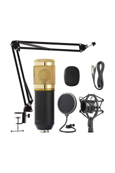 Profesyonel Stüdyo Youtuber Twitch Kayıt Stand Pop Filter Condenser Mikrofon Kiti