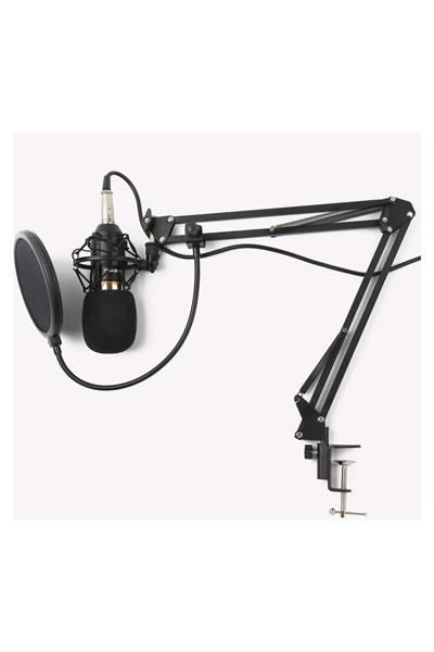 Profesyonel Stüdyo Youtuber Twitch Kayıt Stand Pop Filter Condenser Mikrofon Kiti