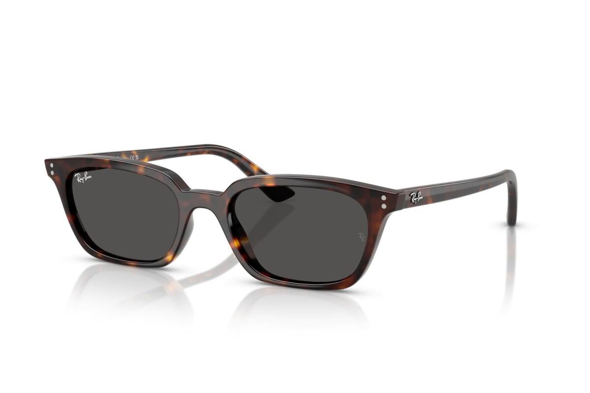 RAY-BAN RB 4456 135987 50 Güneş Gözlüğü