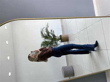 Orijinal Marka  Düğme Detaylı İspanyol Pantolon