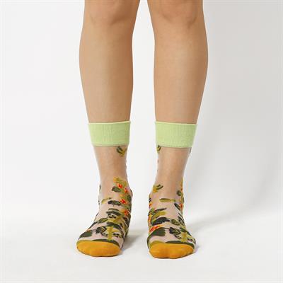 Colorcool Japon Kore Tarzı Şeffaf Transparan Kadın Çorap Summer