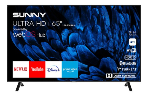 SUNNY SN65FMN252-0276 TV