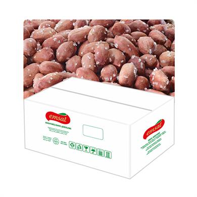 YER FISTIĞI TUZLU JUMBO 5 KG