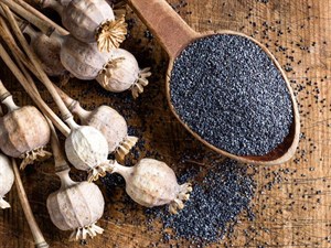 BUHARA HAŞHAŞ MAVİ 1000 GR