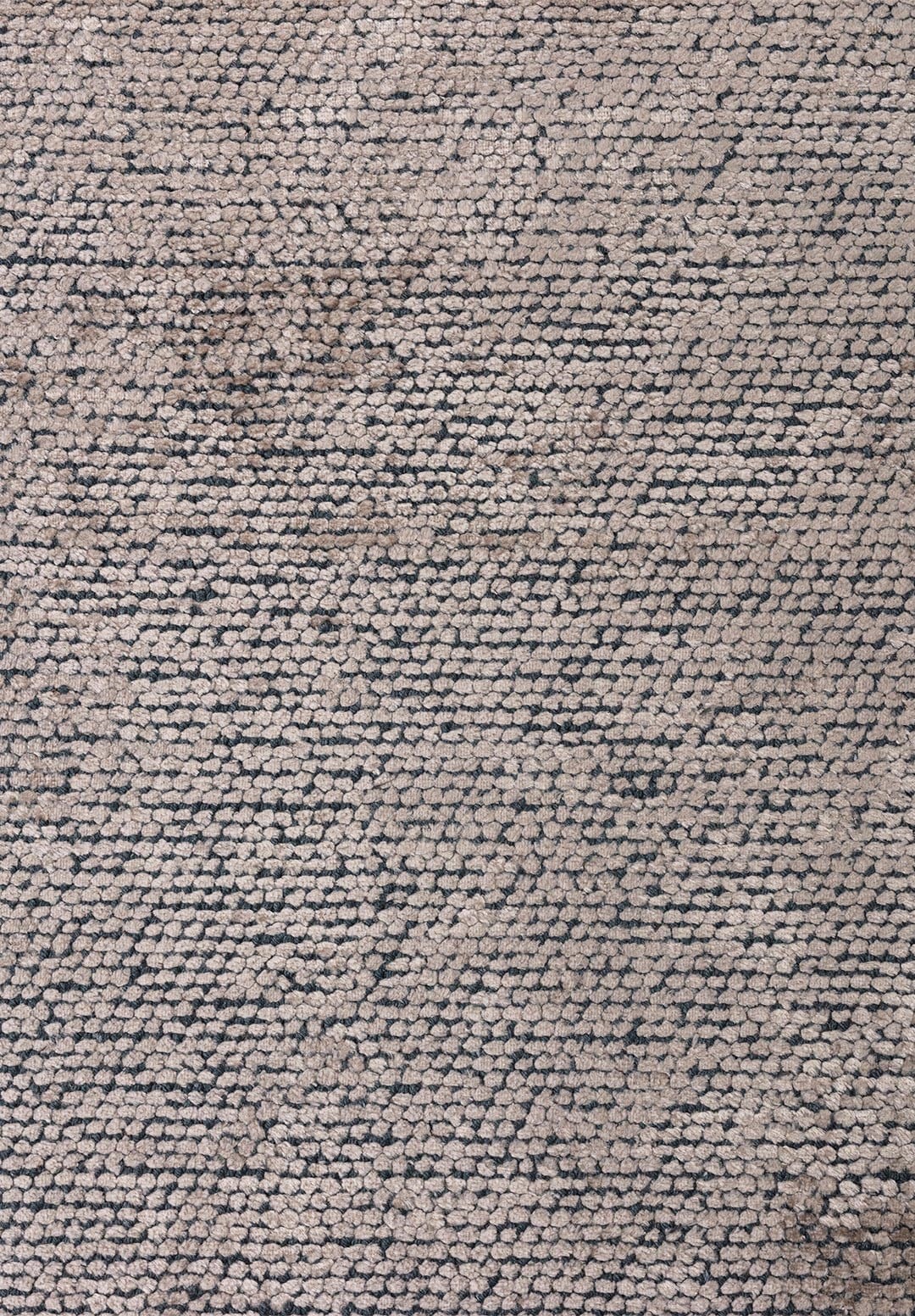 AMP000223