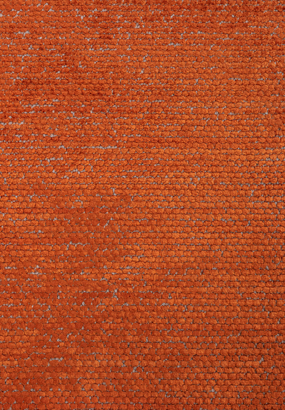 I000566