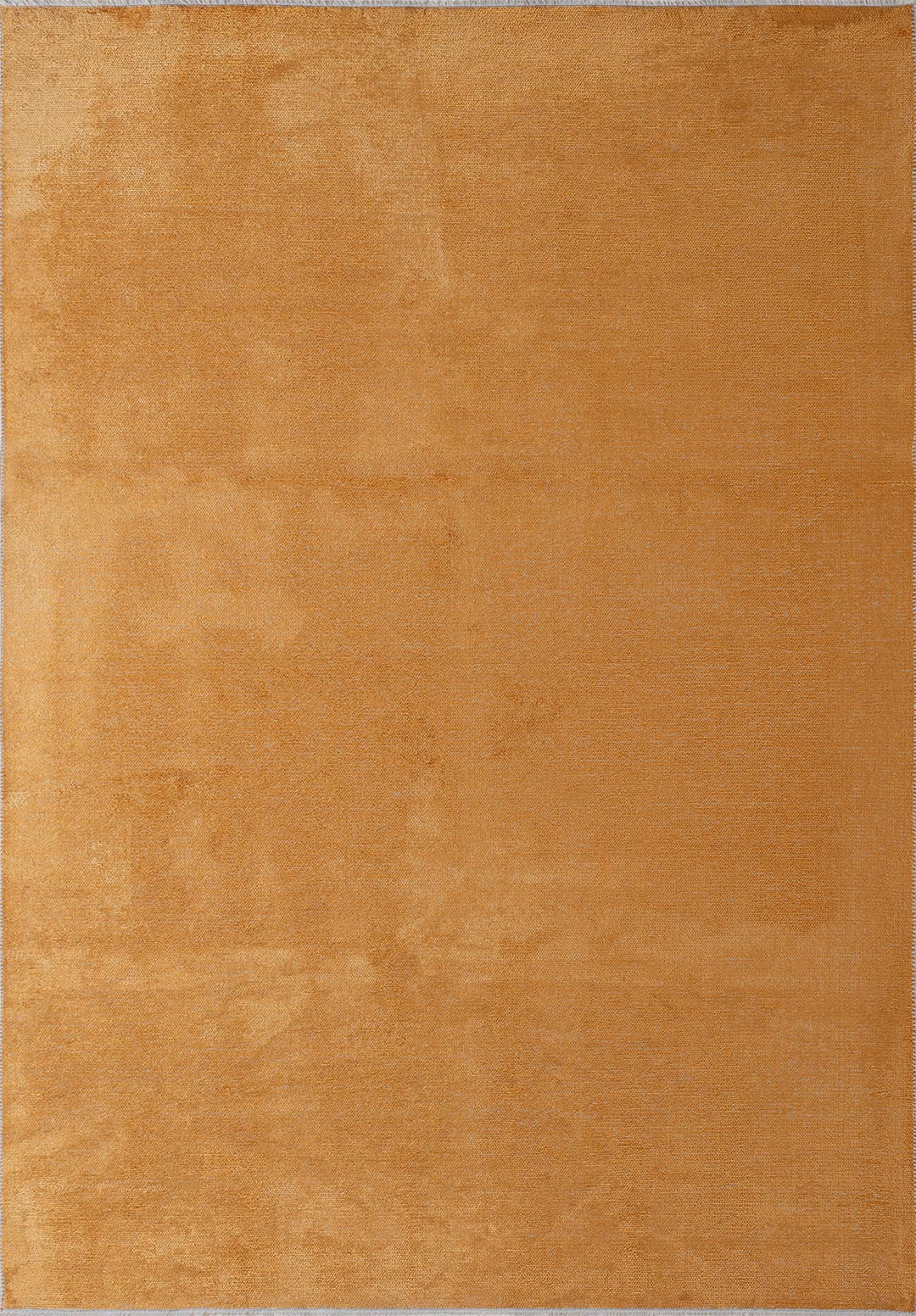 2024-E-4031