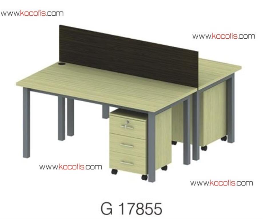 İkili Çalışma İstasyonu G 17856