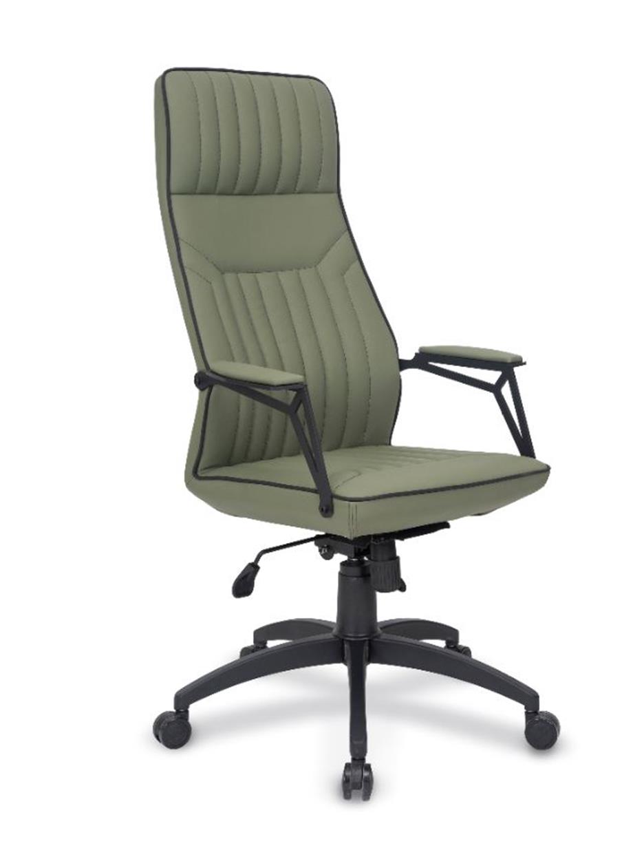 NEXUS LAZER MÜDÜR KOLTUĞU