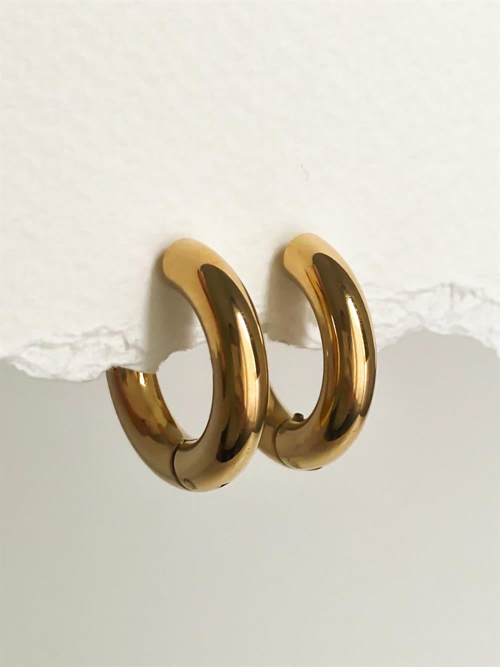 Kalın Halka Çelik Küpe - Gold