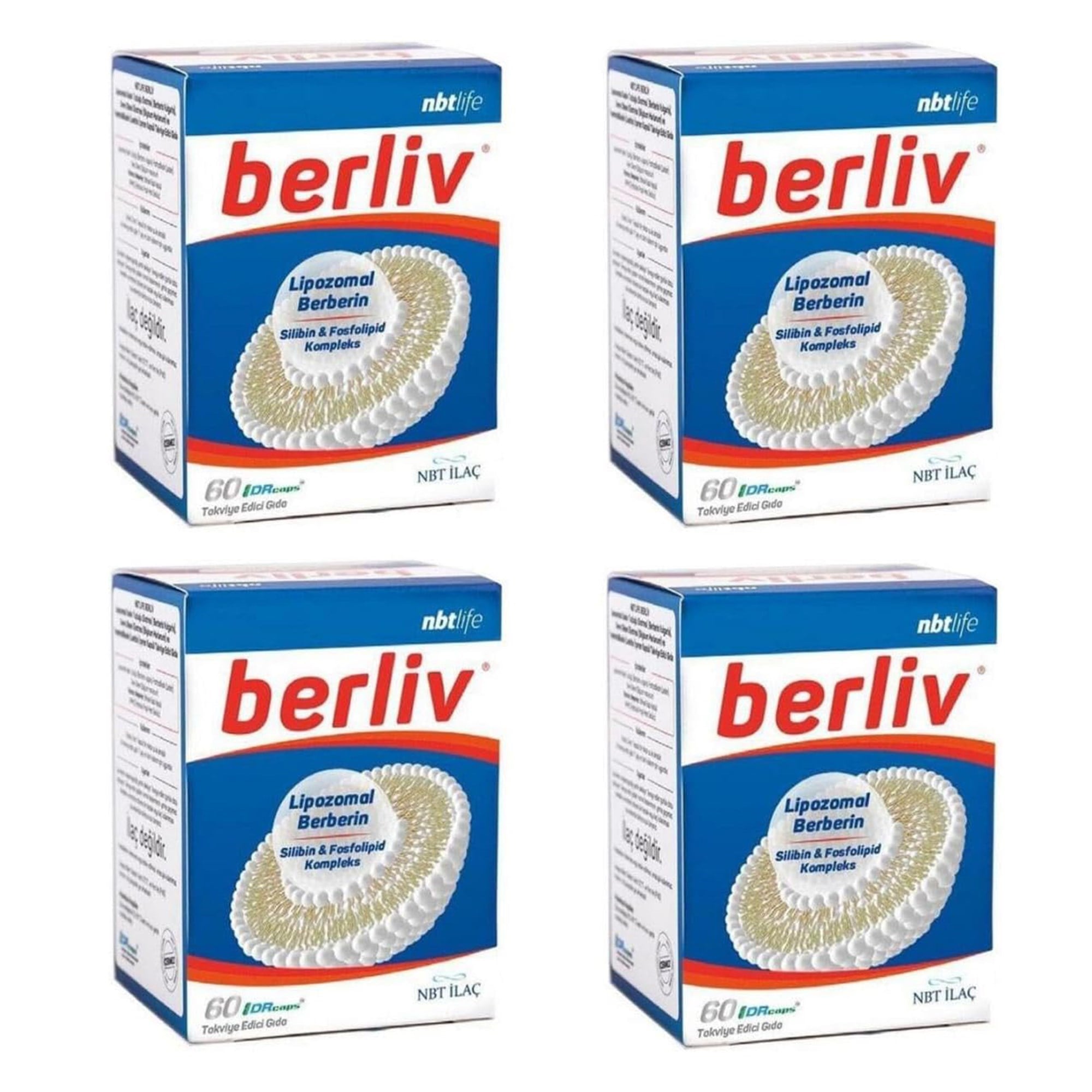 Nbt Life Berliv Lipozamal Berberin 60 Kapsül 4'lü