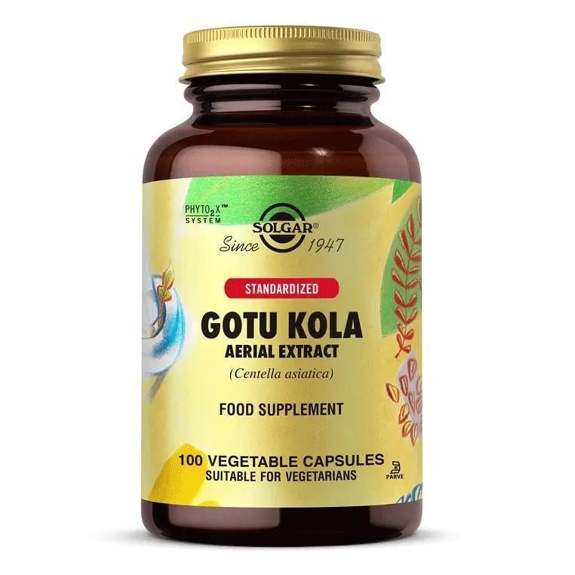 Solgar Gotu Kola Aerial Extract 100 Kapsül Vegan Formda Türkiye Menşeli Bitkisel Takviye