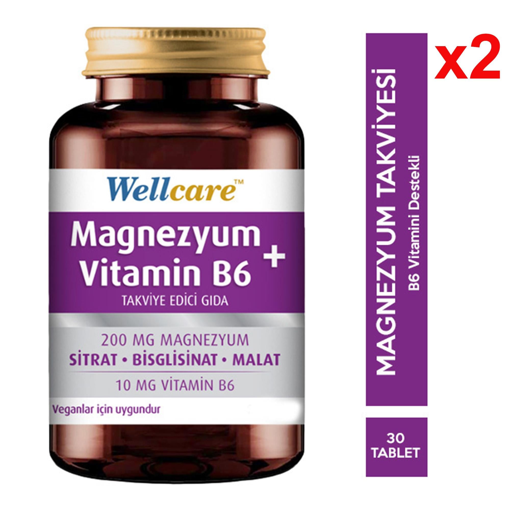 Wellcare Magnezyum Vitamin B6 30 Tablet 2 Adet