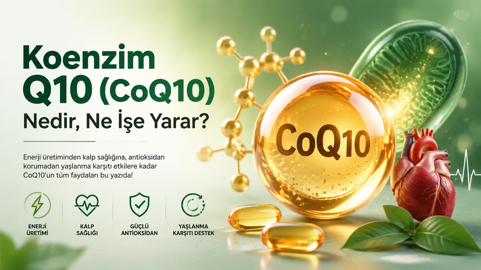 Koenzim Q10 (CoQ10) Nedir,Ne İşe Yarar?