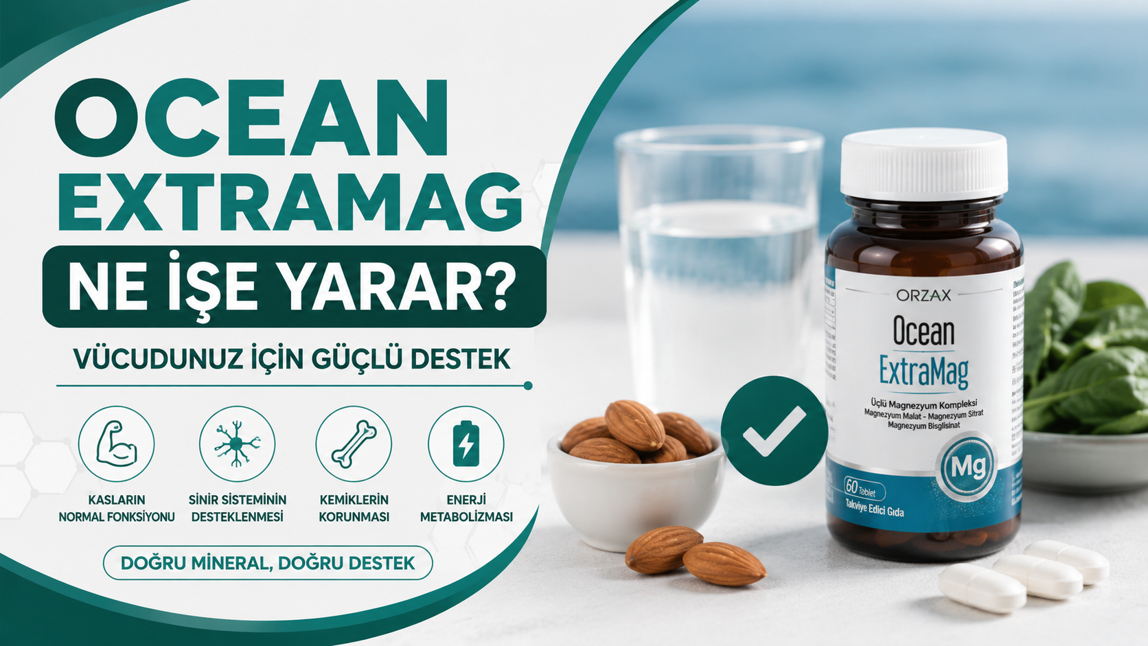 Ocean ExtraMag Ne İşe Yarar?