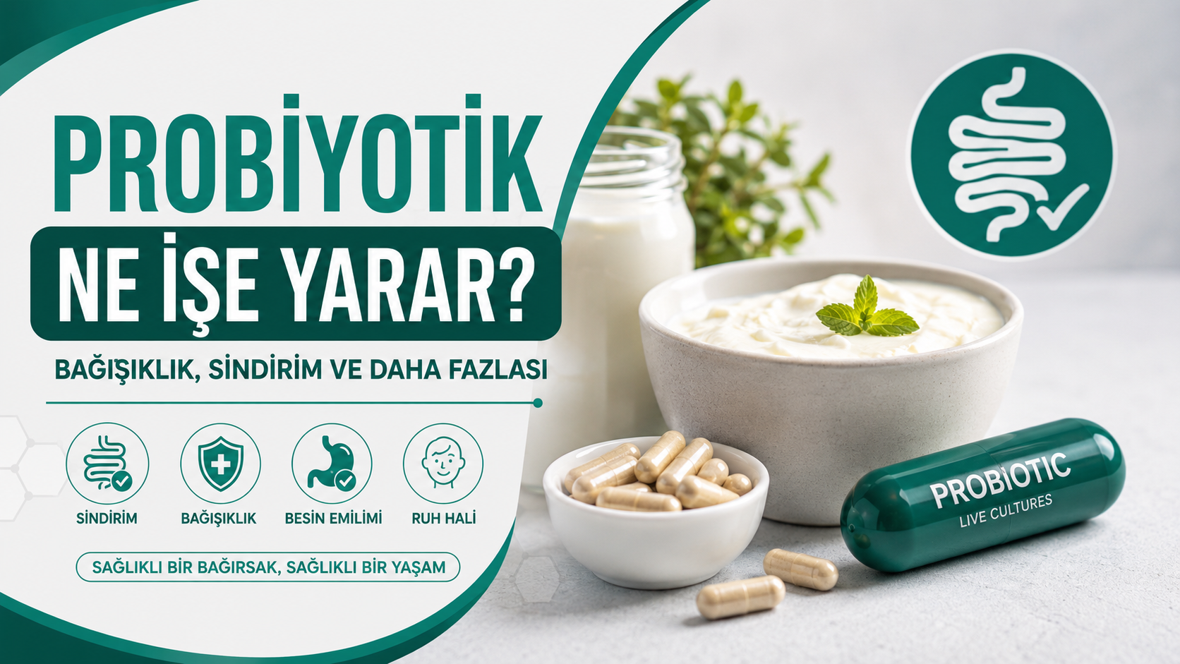 Probiyotik Ne İşe Yarar?