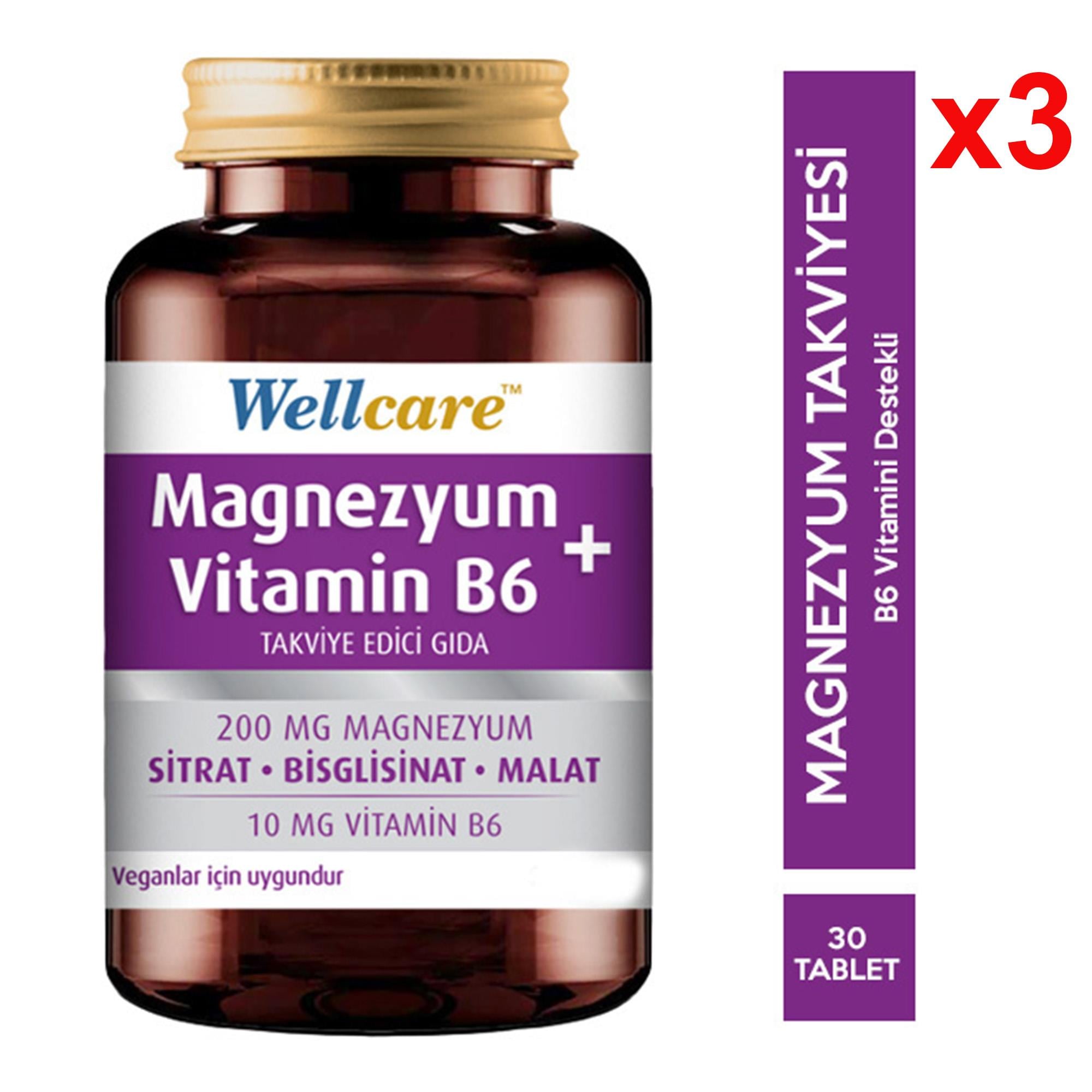 Wellcare Magnezyum Vitamin B6 30 Tablet 3 Adet