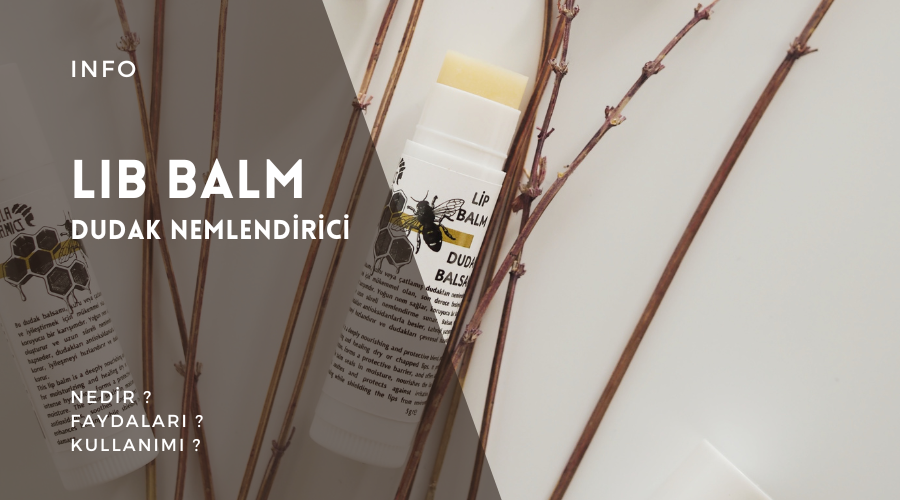 Dudak Nemlendirici