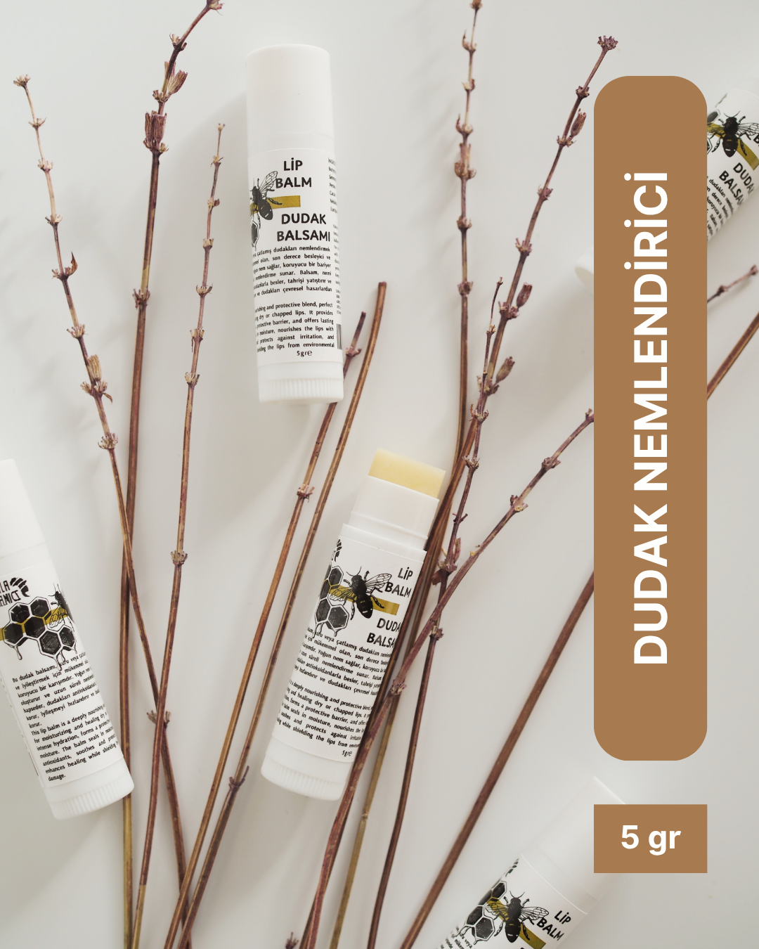 Dudak Nemlendirici, Shea Yağlı