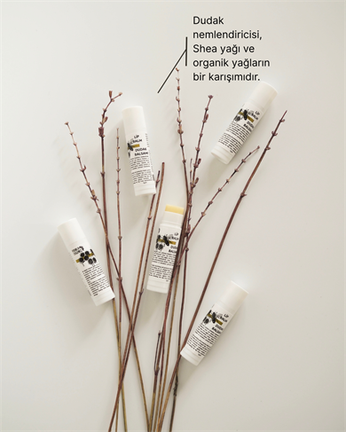 Dudak Nemlendirici, Shea Yağlı