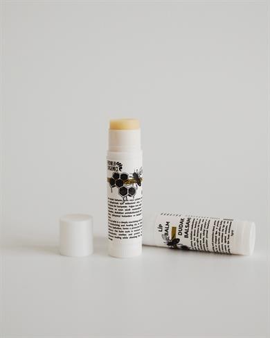 Dudak Nemlendirici, Shea Yağlı