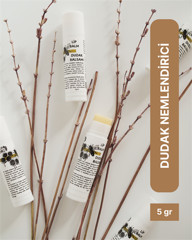 Dudak Nemlendirici, Shea Yağlı