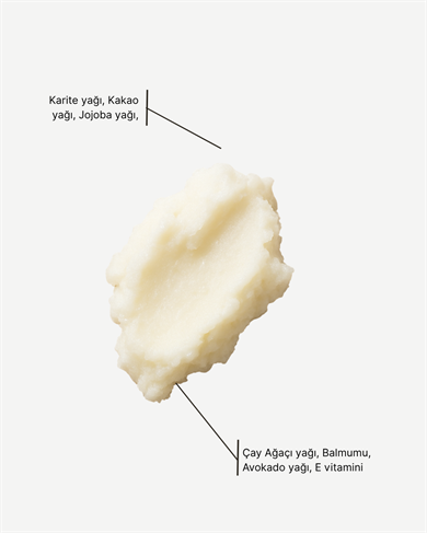 Dudak Nemlendirici, Shea Yağlı