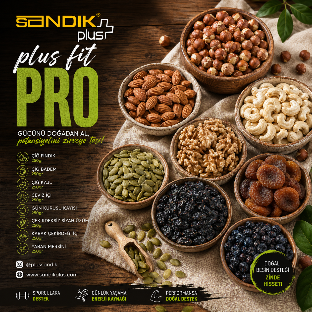 Plus Fit Pro