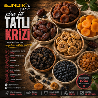 Plus Fit Tatlı Krizi