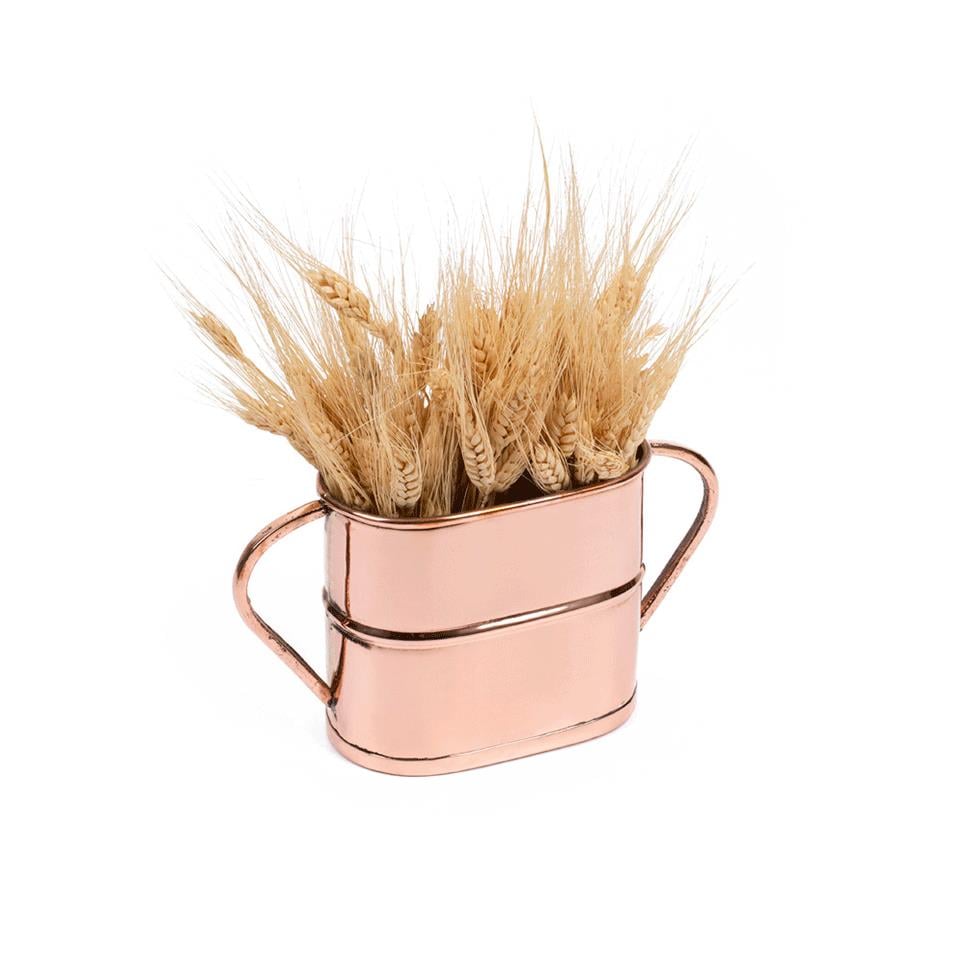 Bakır Oval Çift Kulplu Saksı