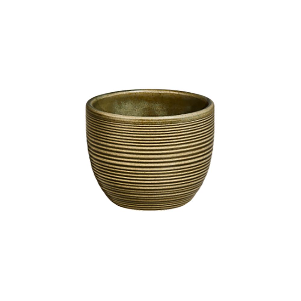 Bamboo Helix Çay Fincanı Kulpsuz 220 cc