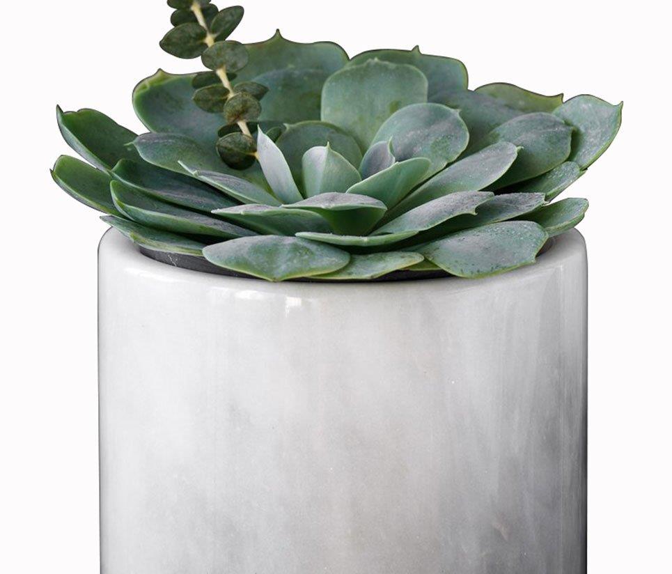 Buz Kovası / Saksı