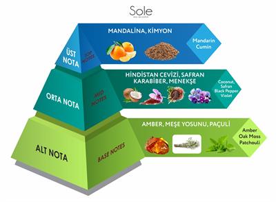 Venilia Sole Eau De Parfum Sole Unisex Parfüm 50 ml