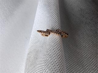 Şimşek Earcuff