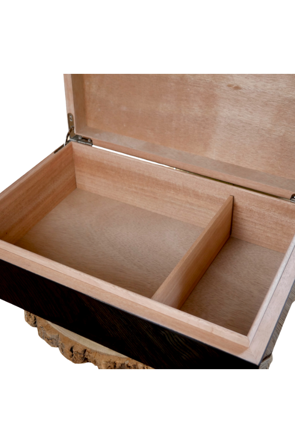 PremiumQuality Siyah Harita Desenli Sedir Humidor Puro Kutusu