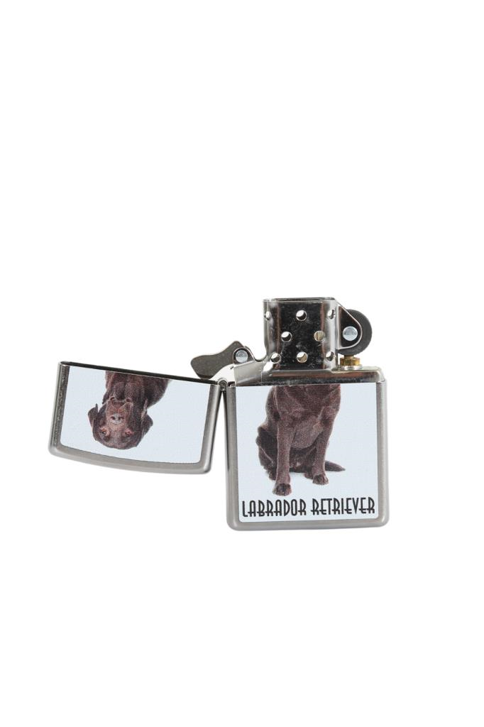 Zippo Çakmak Labrador Retriever