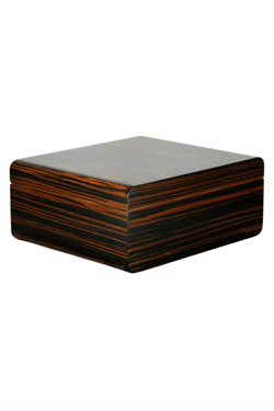 Adorini Novara M Humidor Puro Kutusu