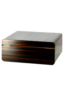 Adorini Novara M Humidor Puro Kutusu