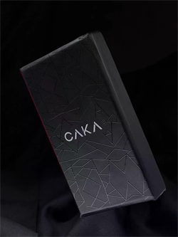 Caka Lighter Beethoven Desen Benzinli Çakmak - CKL-019