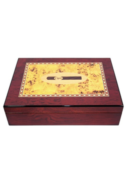 PremiumQuality Fortaleza Kahverengi Sedir Humidor Puro Kutusu
