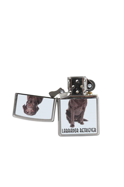 Zippo Çakmak Labrador Retriever