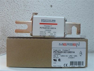 Hızlı Sigorta 125A 1250V