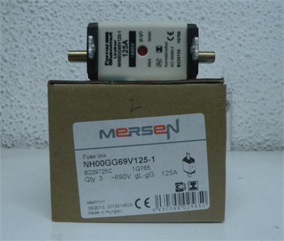 Genel Sigorta NH 00 125A 690V GG SGL