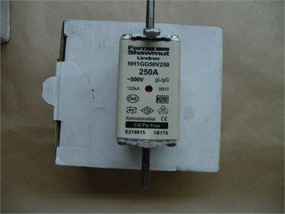 Genel Sigorta NH 1 250A 500V GG 