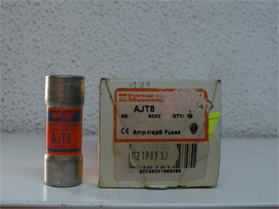 Time-Delay Sigorta Amp-Trap AJT8