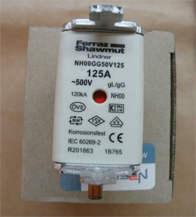 Genel Sigorta NH 00 125A 500V GG 