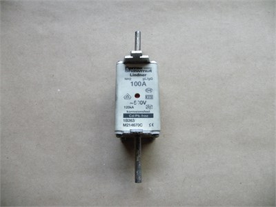 Genel Sigorta NH 2 100A 500V GG