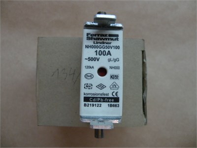 Genel Sigorta NH 000 100A 500V GG 